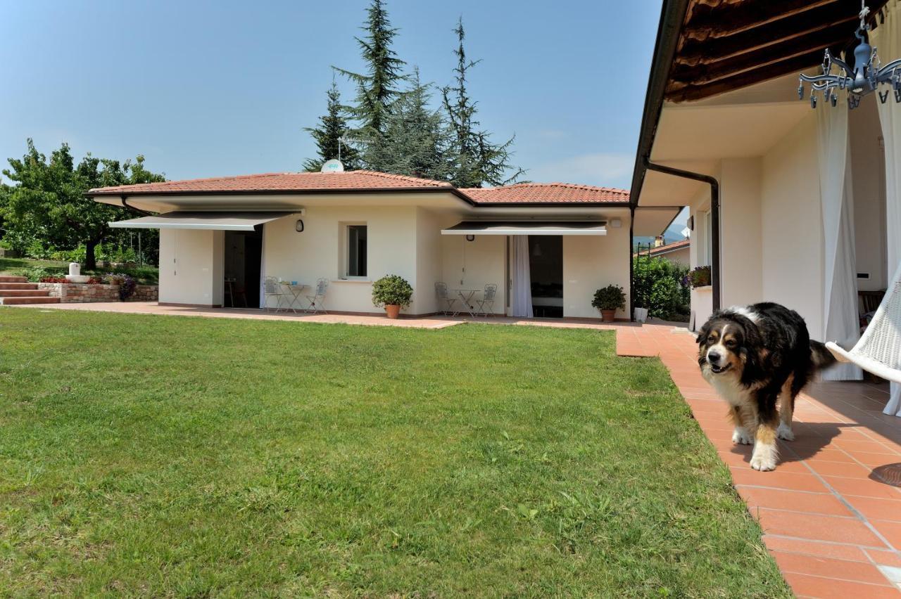 Villa Josephine San Felice del Benaco Dış mekan fotoğraf